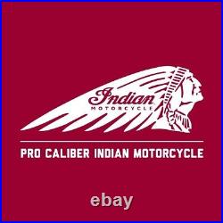 NEW Genuine Indian Chief / Vintage Tinted Flare Windshield 13.7 #2882220
